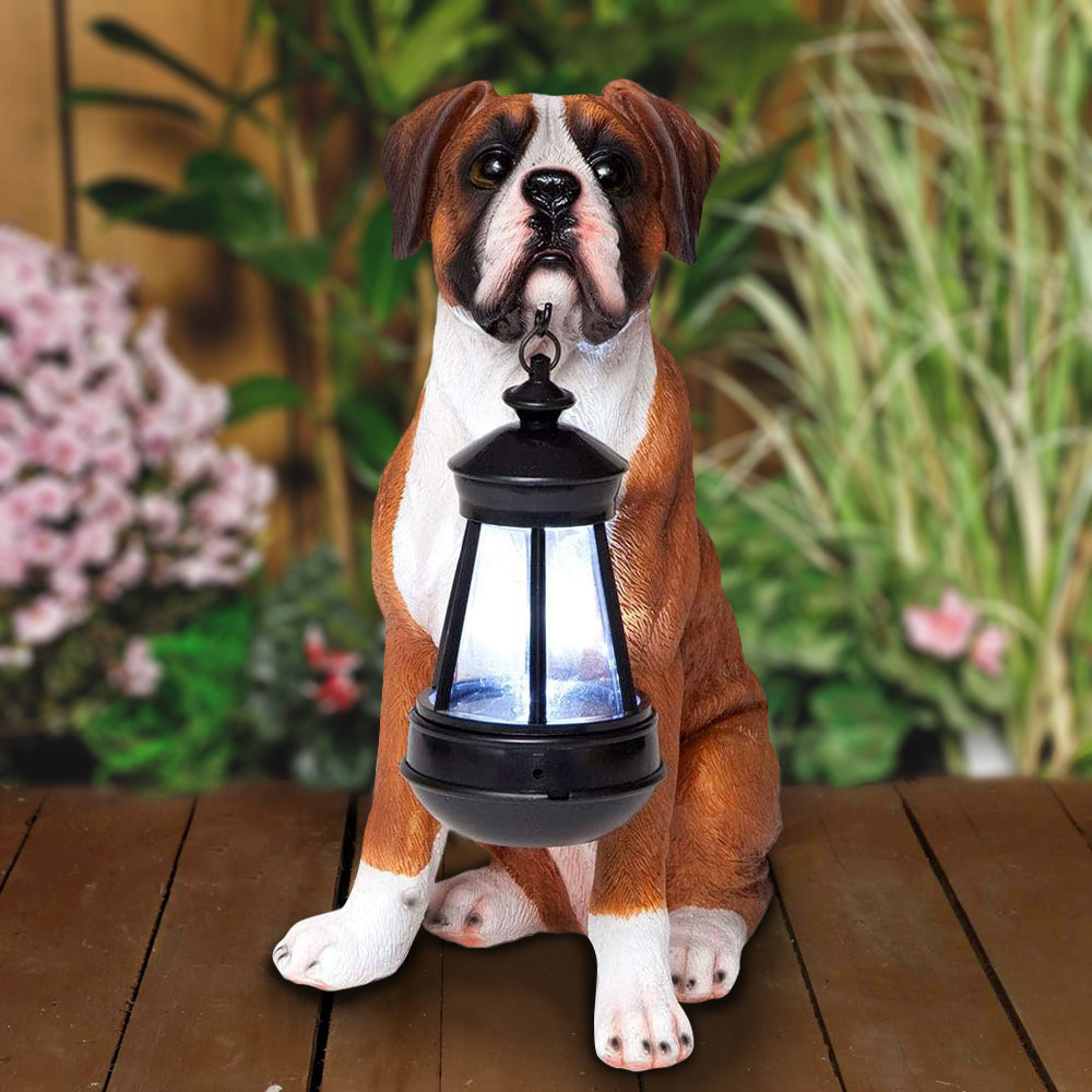 BOXER SOLAR LANTERN