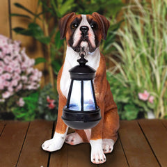 BOXER SOLAR LANTERN