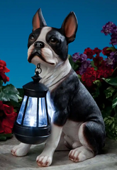 BOSTON TERRIER SOLAR LANTERN